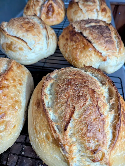 Our Daily Bakes LLC Picture 1