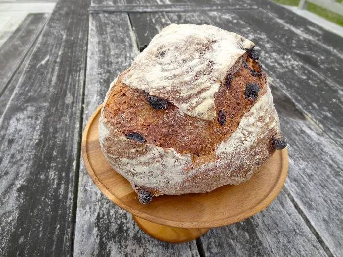 Susie's Smart Cookie Picture 6