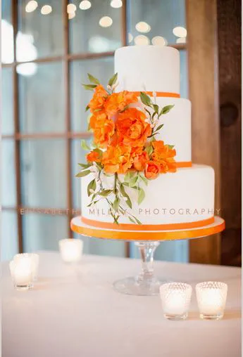 Ana Parzych Cakes Picture 4