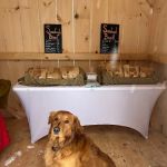 Maple Creek Country Kitchen