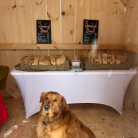 Maple Creek Country Kitchen ico