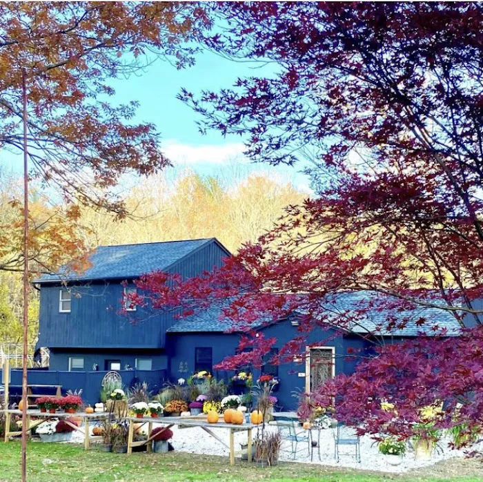 Blue Gate Bakery Picture 6