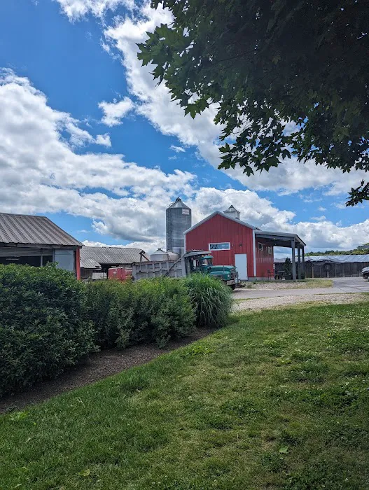Wright's Dairy Farm and Bakery Picture 8