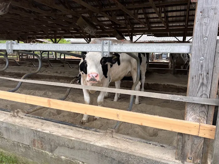 Wright's Dairy Farm and Bakery Picture 4