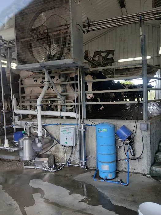 Wright's Dairy Farm and Bakery Picture 3