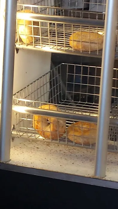 Bagelicious Picture 8