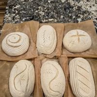Homestead Breads Gluten free Bakery ico