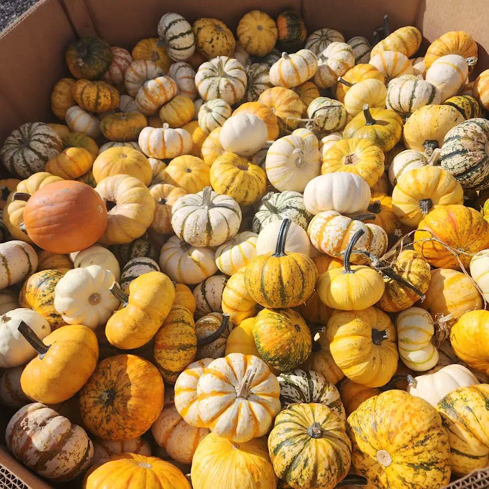 Phantom Farms Picture 7