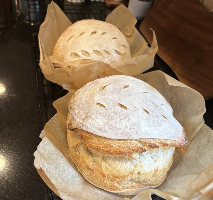 Sourdough Bakehouse Picture 6