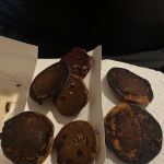 Sugar House Cookies (Inside El Tajin)