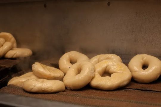 Goldbergu2019s Original Bagels