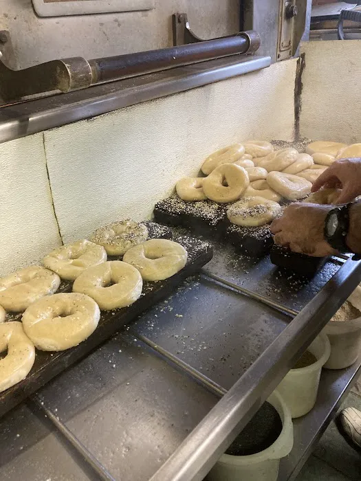X Steins Bagel Picture 8