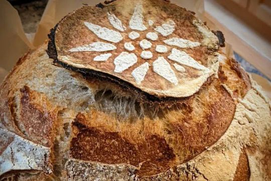Luna Bread