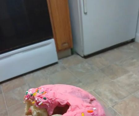 Honey Dew Donuts