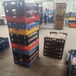 Mazzarelli's Bakery Inc