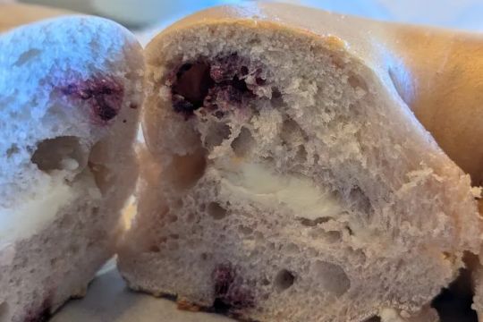 Ronnie's Hot Bagels Hillsdale
