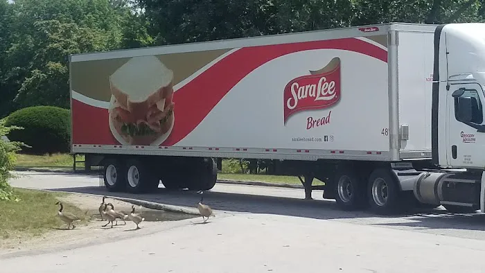 Bimbo Bakeries Picture 5