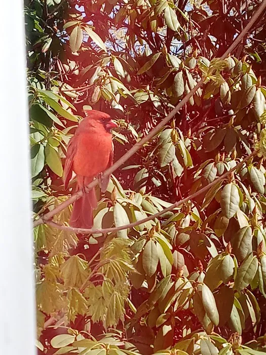 Bimbo Bakeries Picture 4