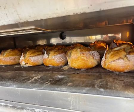 Bread Guy Breads LLC