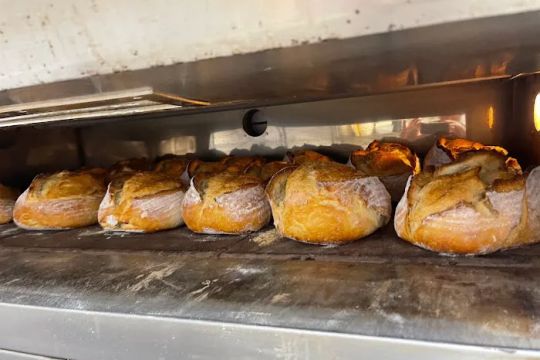 Bread Guy Breads LLC