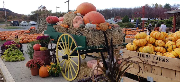 Atkins Farms Bakery Picture 6