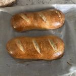 Sarah's Sourdough Bakery