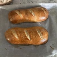 Sarah's Sourdough Bakery ico
