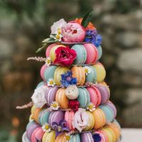 b.wild Baking Company ico