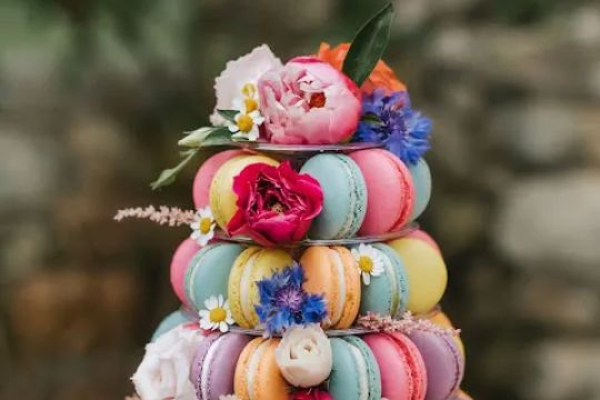 b.wild Baking Company