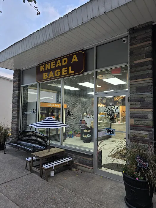 Knead A Bagel Picture 1