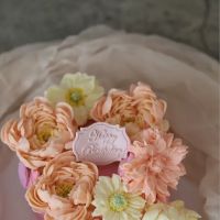 Sucre Sophie ico