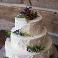 Hudson Valley Dessert Company ico