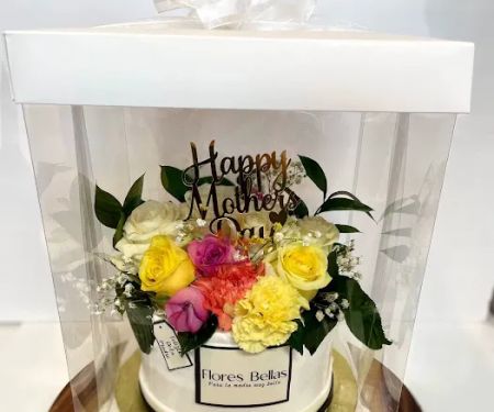 Delicias Latina Bakery & Academy