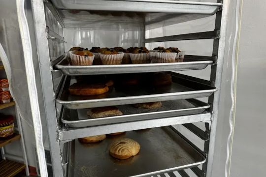 Daisies Pasteles