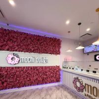 Mochi Dough Natick ico