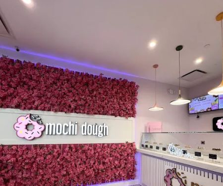 Mochi Dough Natick
