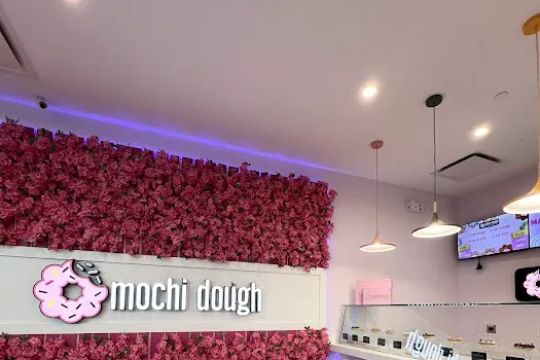 Mochi Dough Natick