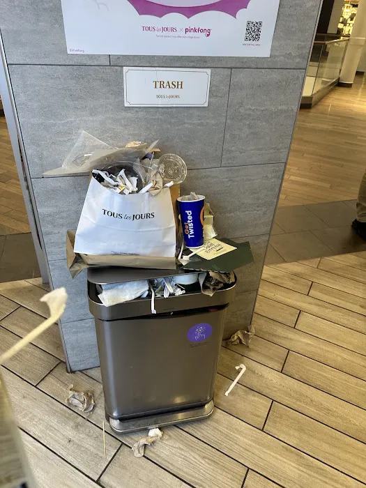 TOUS les JOURS (Natick Mall) Picture 3
