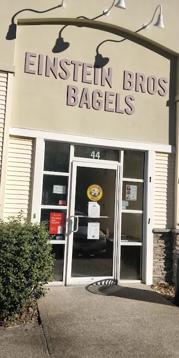 Einstein Bros. Bagels Picture 5
