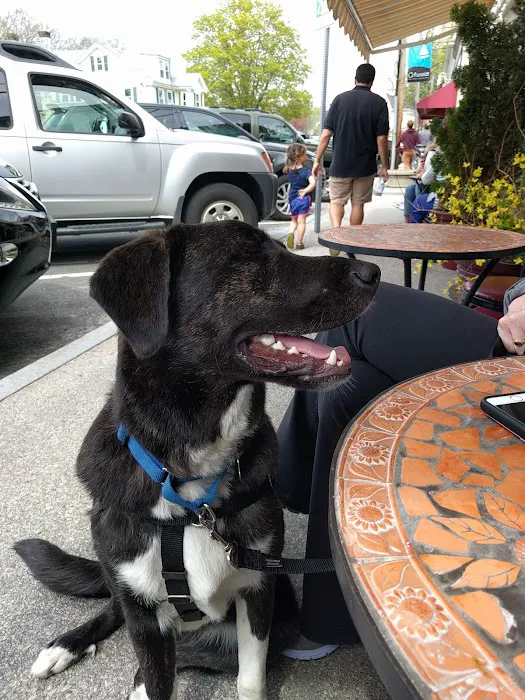 French Memories Bakery Picture 3