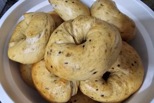 Pioneer Bagel Co.