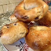 Bagel Nosh ico