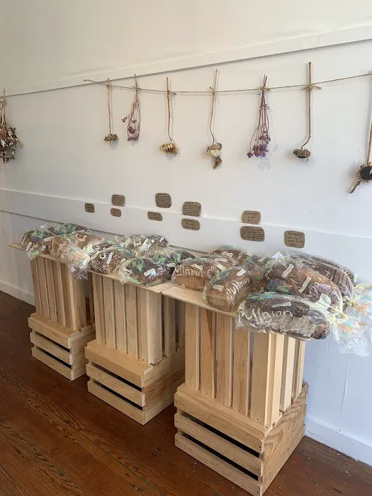 Iggy's Bread Edgartown, MV Picture 3