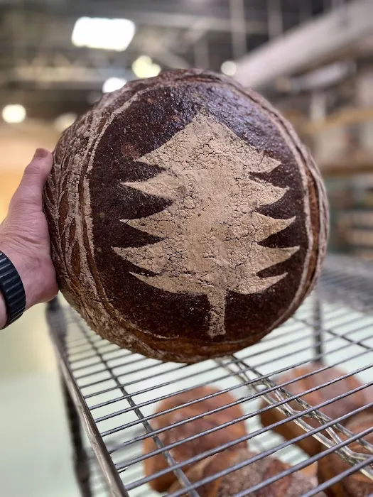 Iggy's Bread Edgartown, MV Picture 9