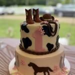 Creative Cakes & Desserts