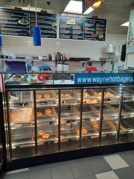 Wayne Hot Bagels and Cafe Picture 1