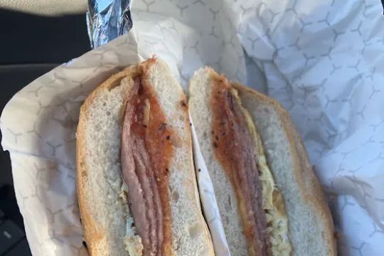 SpringTree Bagel