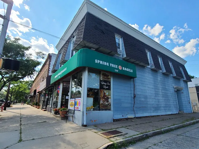 SpringTree Bagel Picture 8