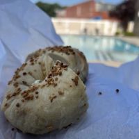 Midland Bagels & Grill ico