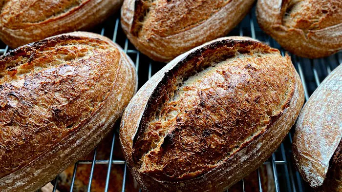Leavened Picture 2